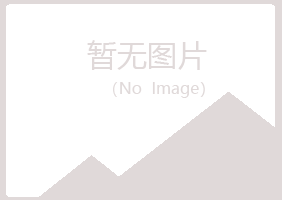 铁岭县雅山机械有限公司